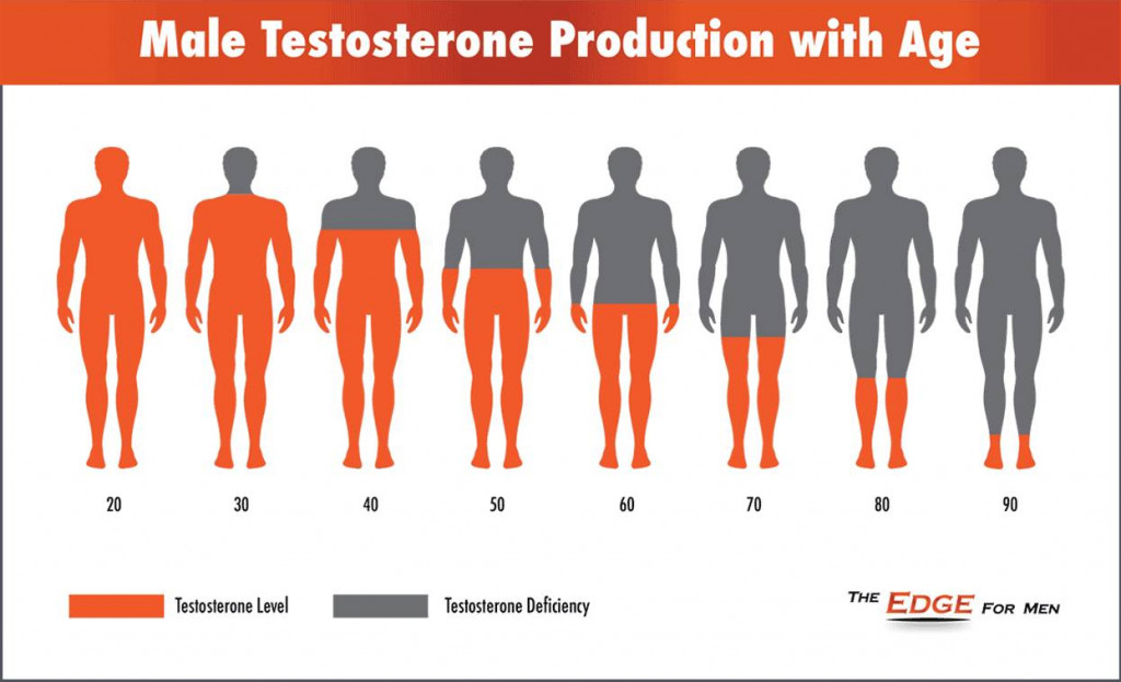 erkek testosteron üretim yaşı
