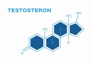 testosteron hormonu