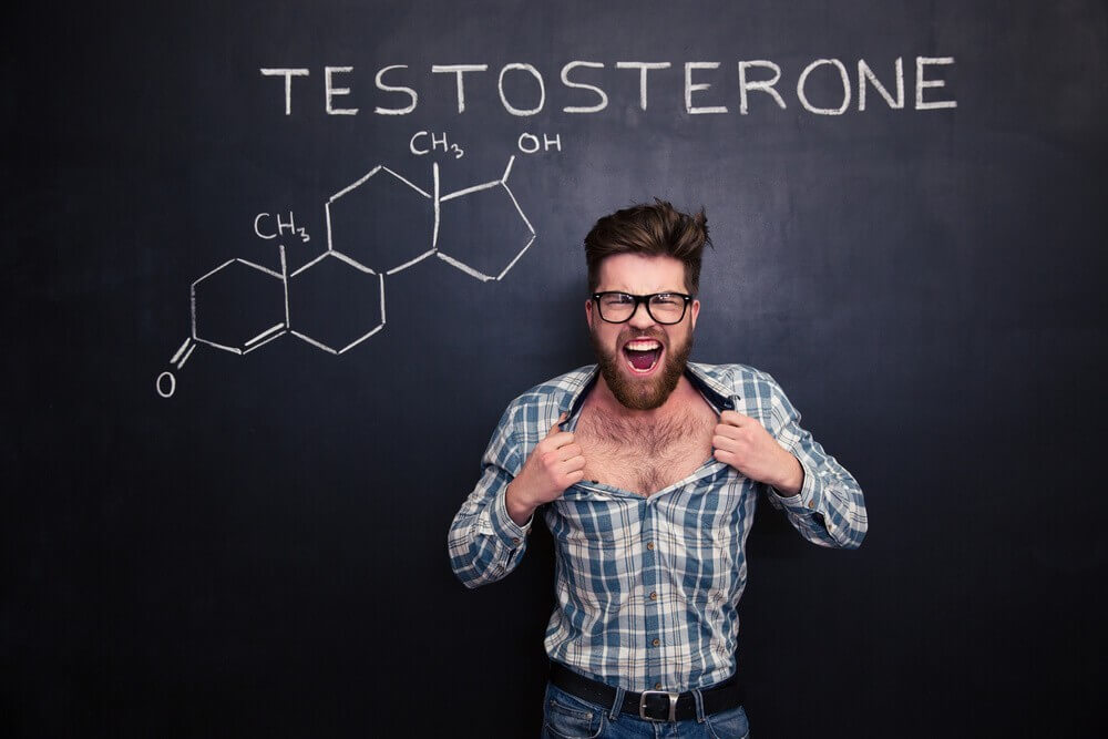 anger and testosterone