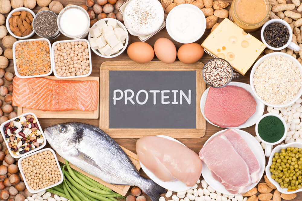kilo vermek için proteinler